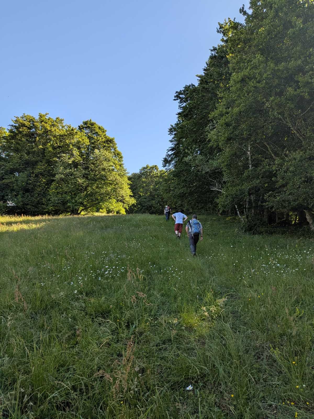 PXL_20260613_080549547