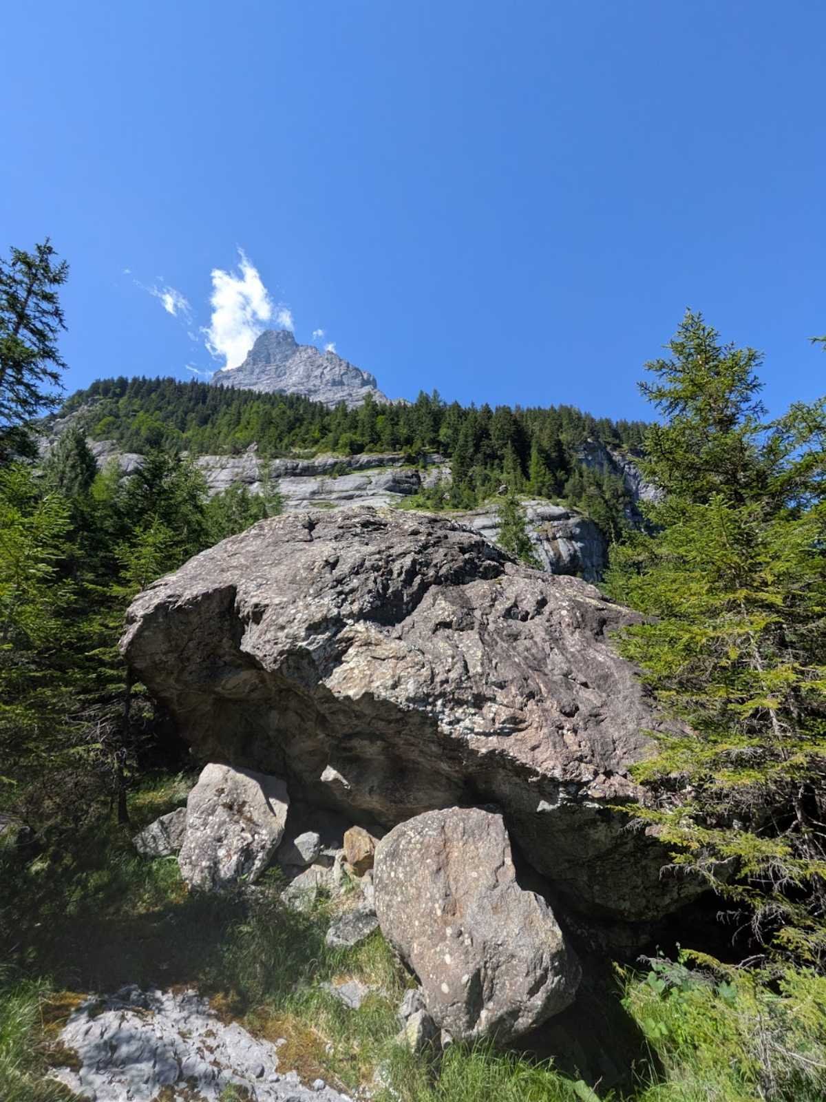 PXL_20260704_085731377